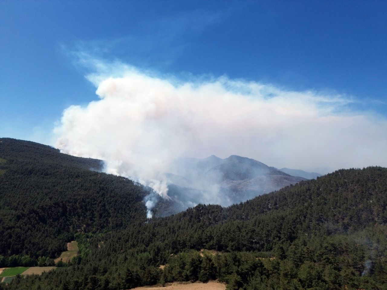 Sakarya'daki orman yangınına müdahale devam ediyor - Sayfa 2
