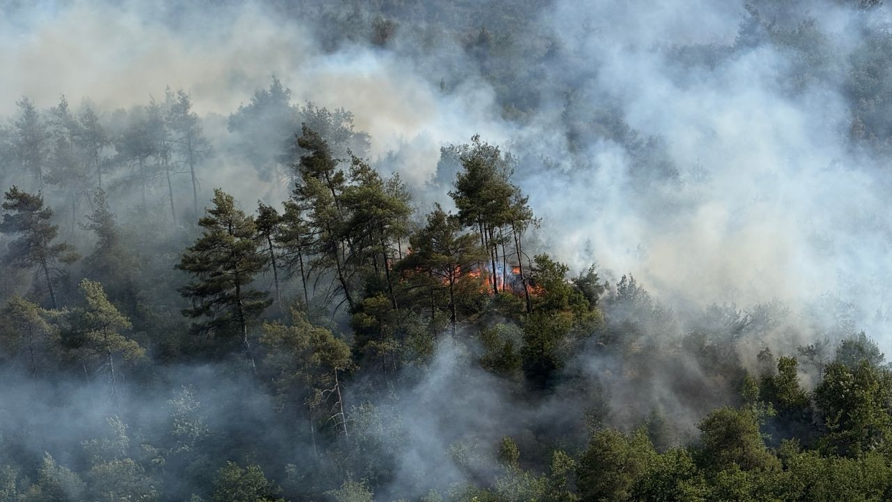 Sakarya'da Yükselen Alevlere Hem Havadan Hem Karadan Müdahele - Sayfa 3