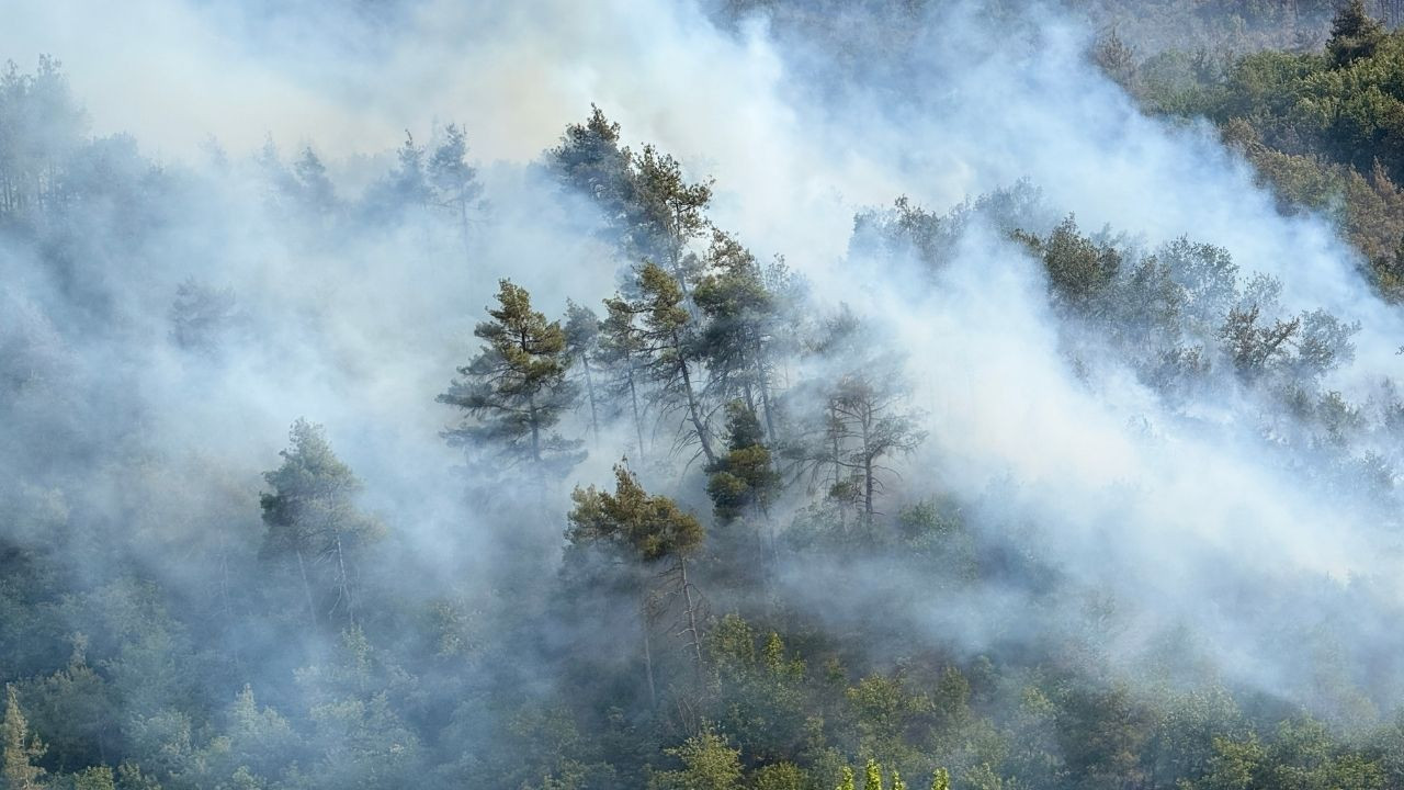 Sakarya'da Yükselen Alevlere Hem Havadan Hem Karadan Müdahele - Sayfa 4