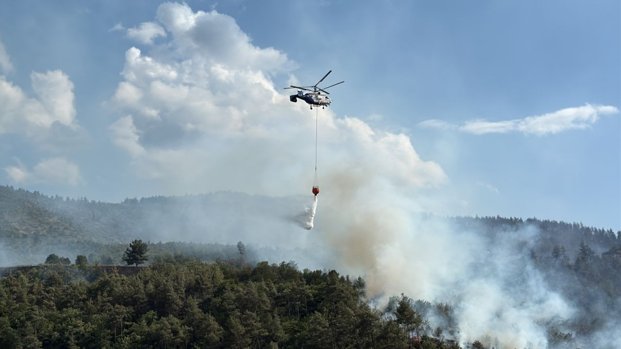 Sakarya'da Yükselen Alevlere Hem Havadan Hem Karadan Müdahele - Sayfa 2