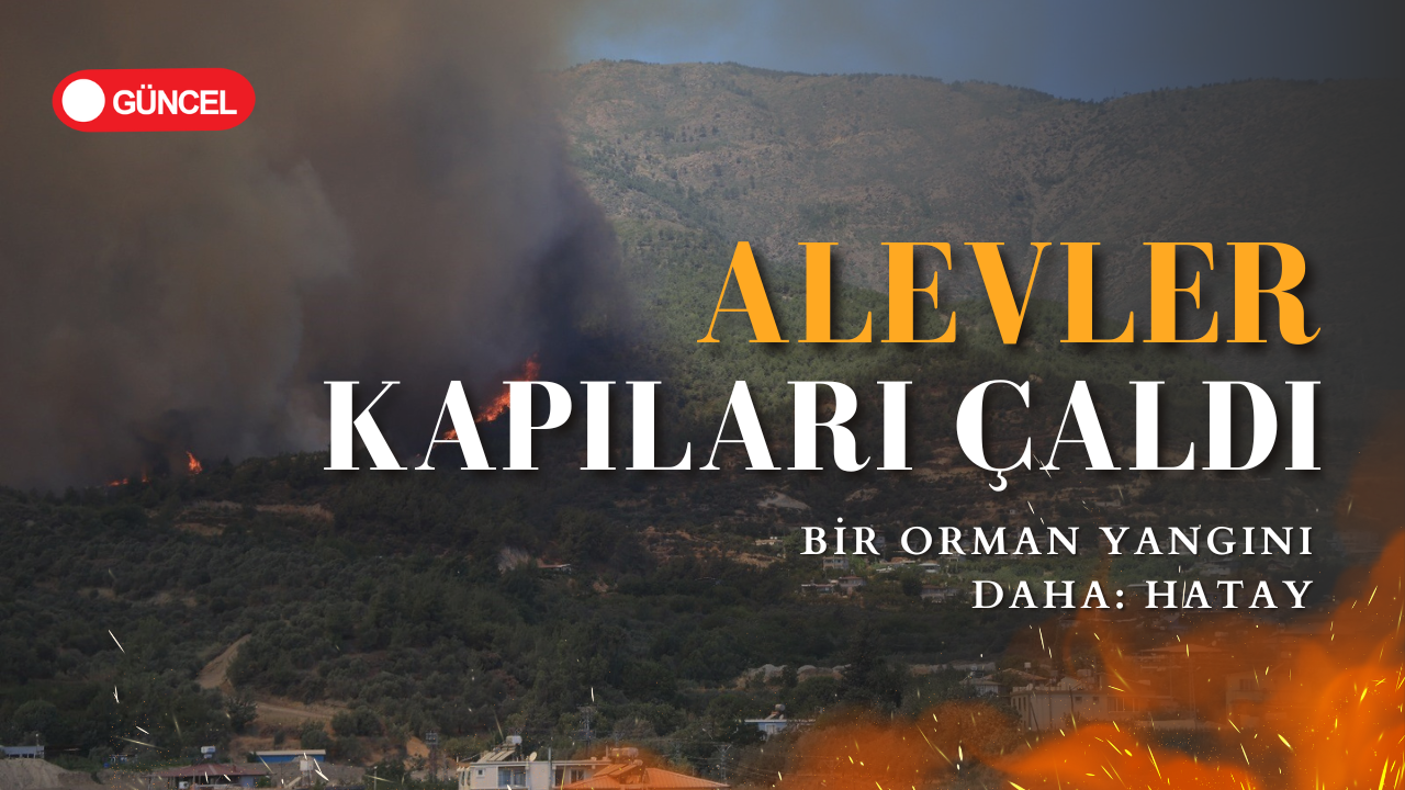 Alevler Evlerin Kapısını Çaldı: Hatay'da Orman Yangını
