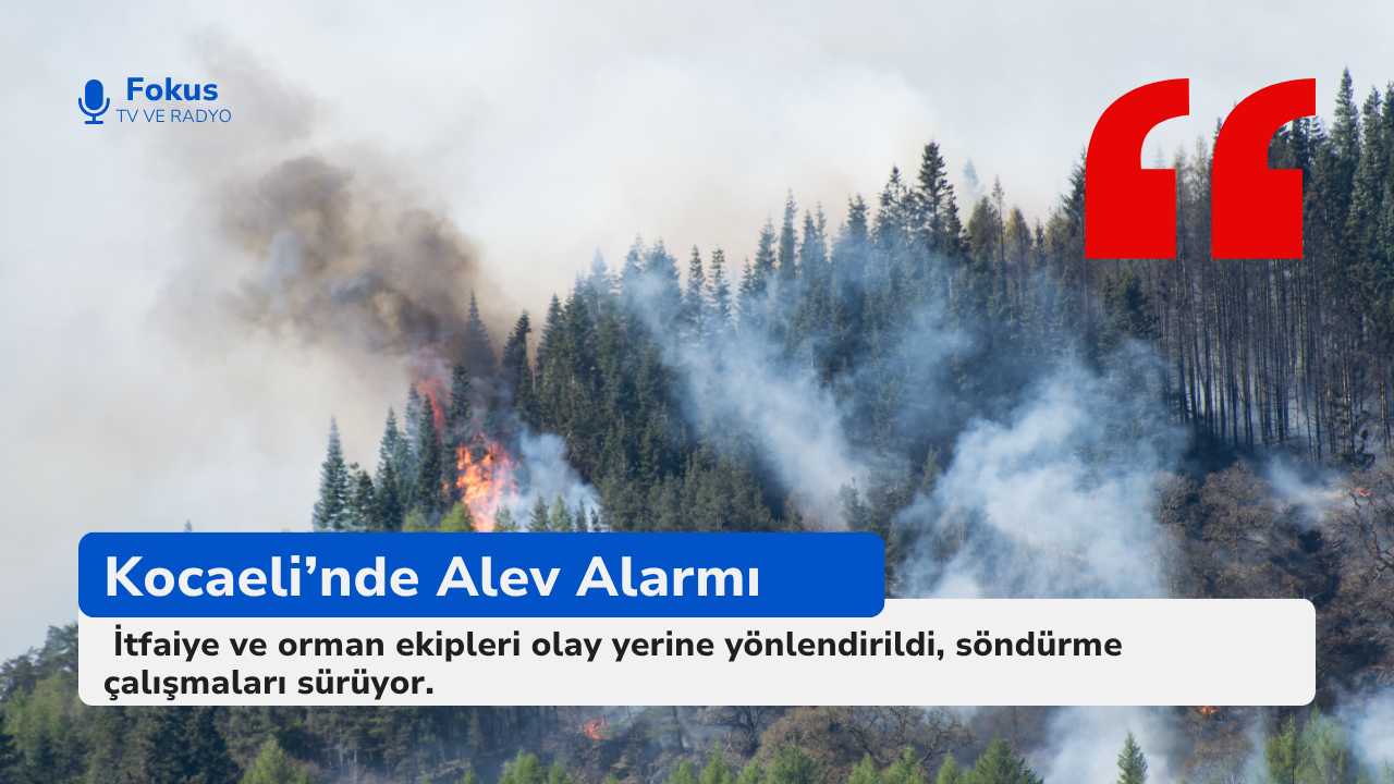 Derince’de Alevler Yükseldi: Yangın Korku Dolu Anlar Yaşattı