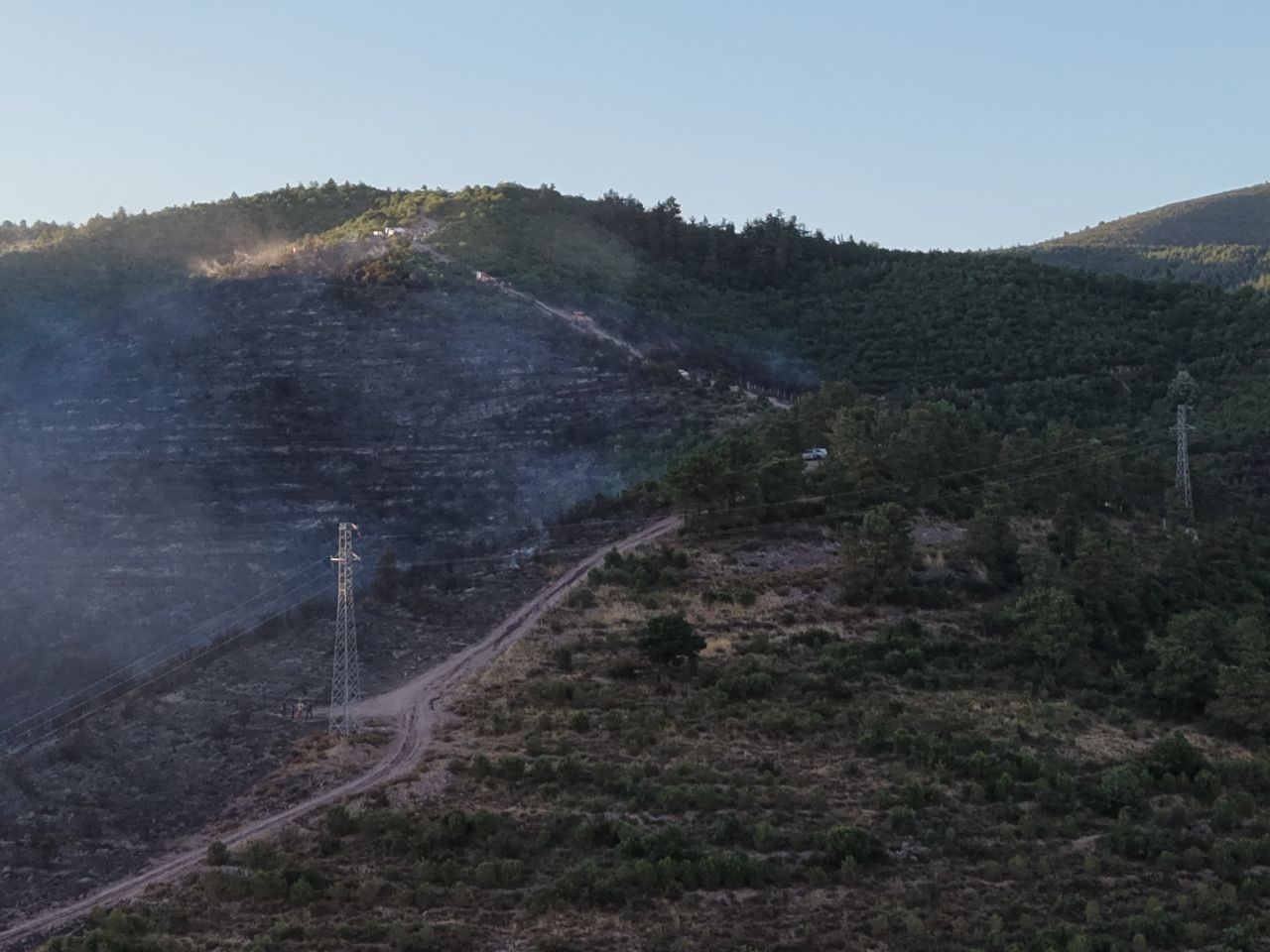 Kocaeli'de Çıkan Orman Yangını Söndürüldü - Sayfa 2