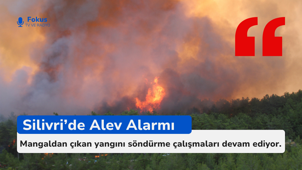 Silivri’de 100 Hektar Orman Yandı, 50 Hane Tedbiren Tahliye Edildi.