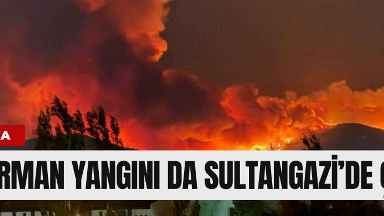 Sultangazi Kent Ormanı'nda Yangın Paniği: Müdahale Sürüyor