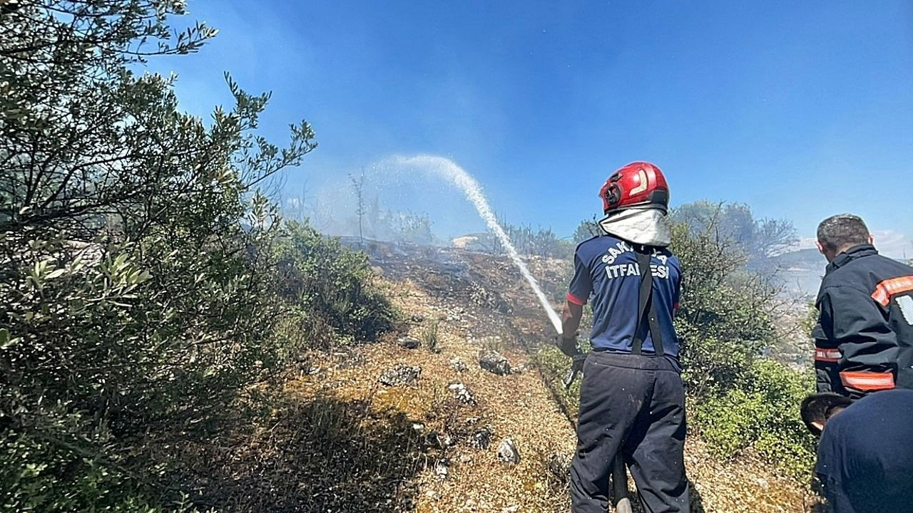 Sakarya’daki Orman Yangını Büyümeden Kontrol Altına Alındı - Sayfa 2