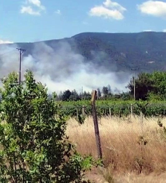 Sakarya’daki Orman Yangını Büyümeden Kontrol Altına Alındı - Sayfa 4