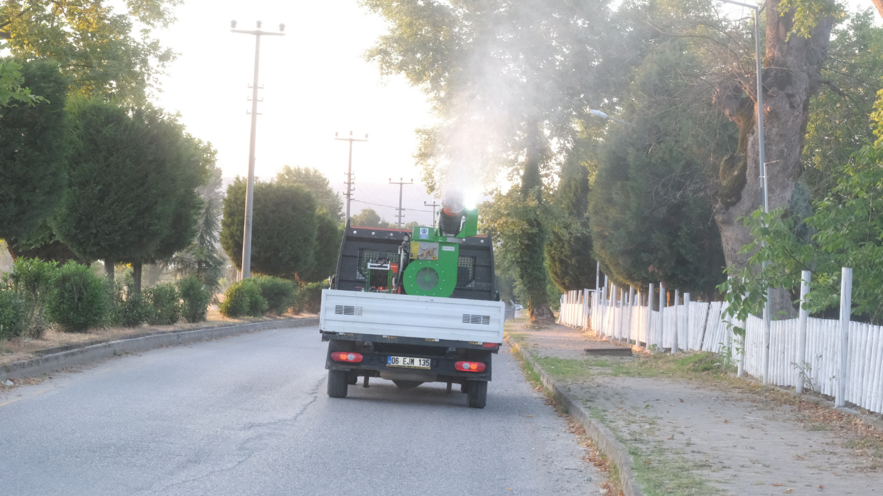 Sapanca Genelinde Haşereyle Mücadelede Kapsamlı İlaçlama Başladı - Sayfa 3