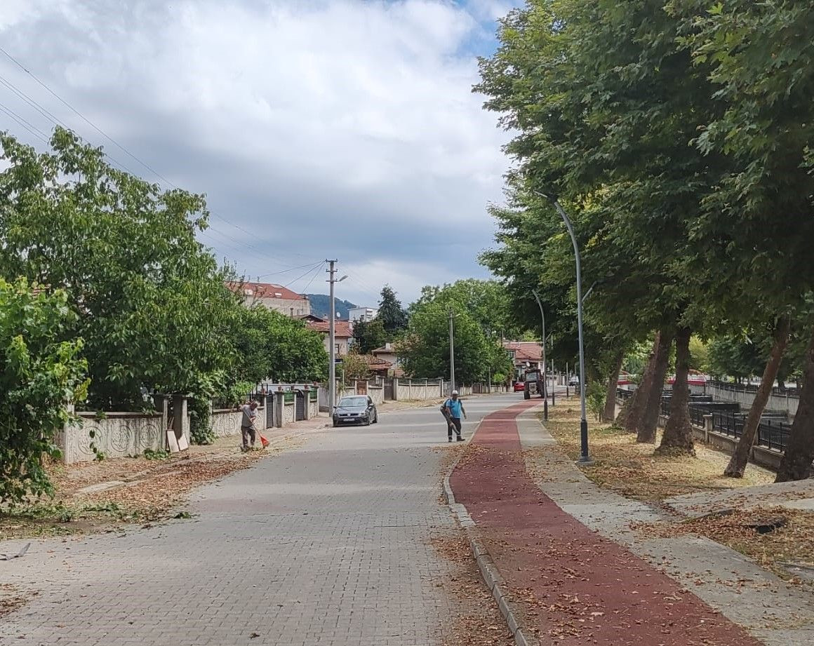Hendek'te Her Sokakta Hizmet Var - Sayfa 3