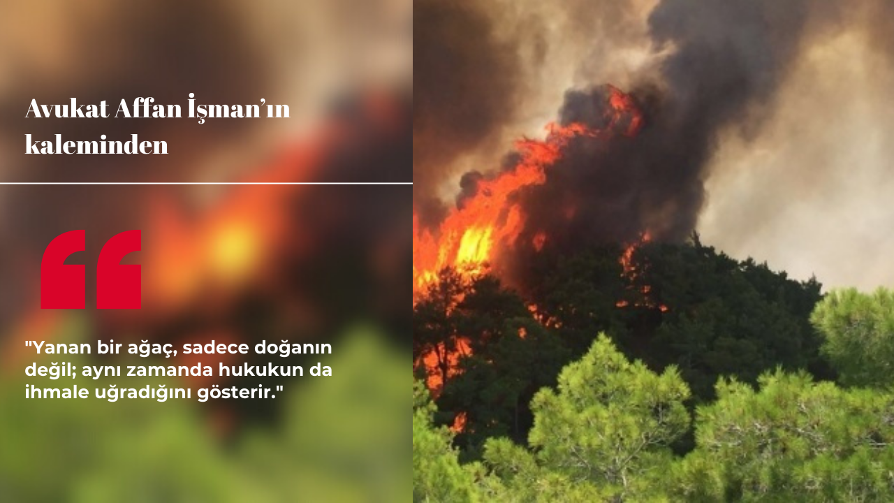 Ateşin Gölgesinde Adalet