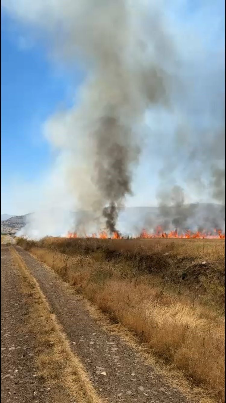 Traktör Kepçesi Elektrik Tellerine Değince 50 Dönüm Arazi Yandı - Sayfa 5