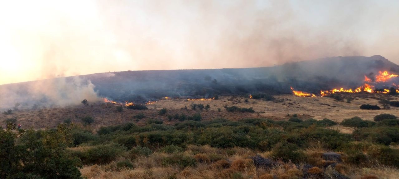 İzmir'in İki İlçesinde Çıkan Yangın Devam Ediyor - Sayfa 4