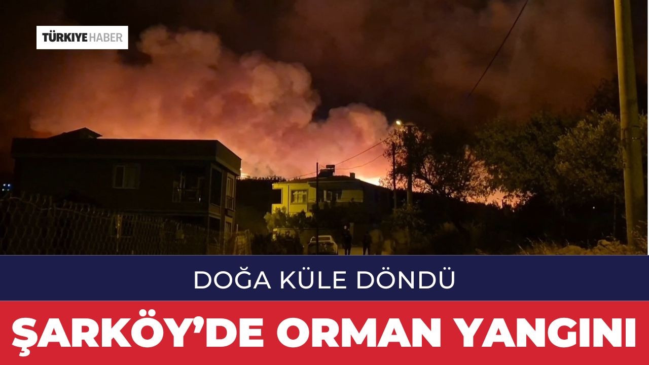 Şarköy’de Orman Yangını: Doğa Küle Döndü