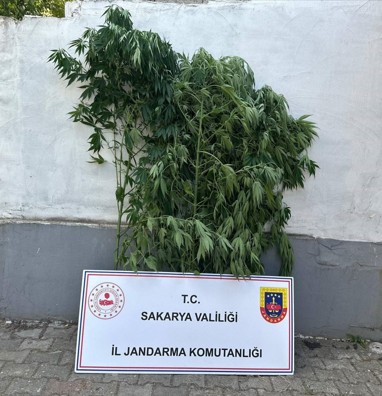 Uyuşturucuya Geçit Yok: Jandarma Baskınında 1 Tutuklama - Sayfa 3