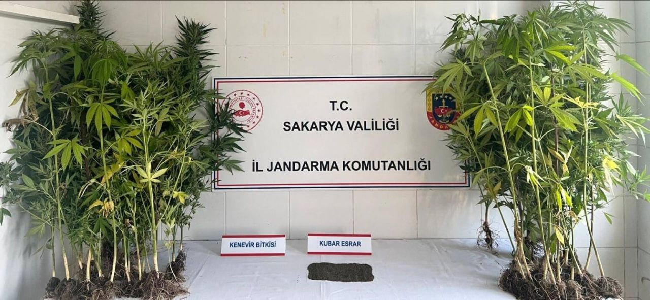 Uyuşturucuya Geçit Yok: Jandarma Baskınında 1 Tutuklama - Sayfa 4