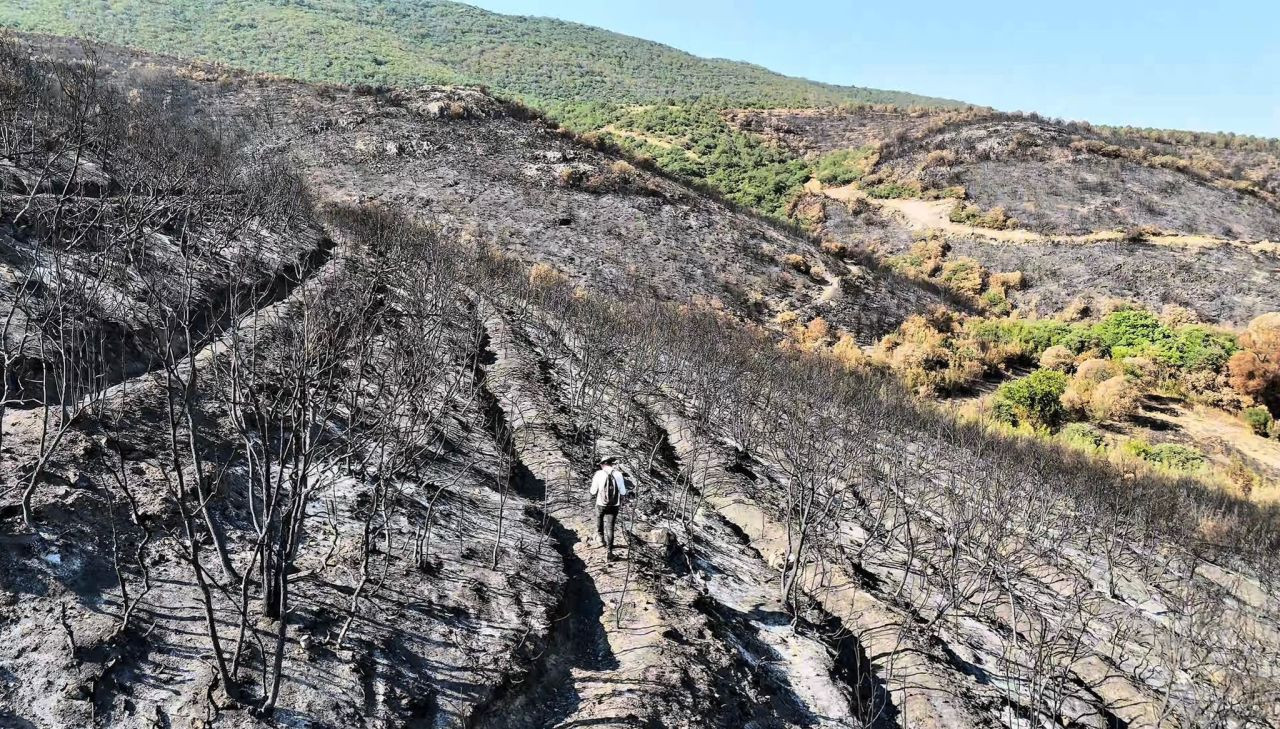 Yangından Sonra Bilecik'in Son Durumu - Sayfa 1