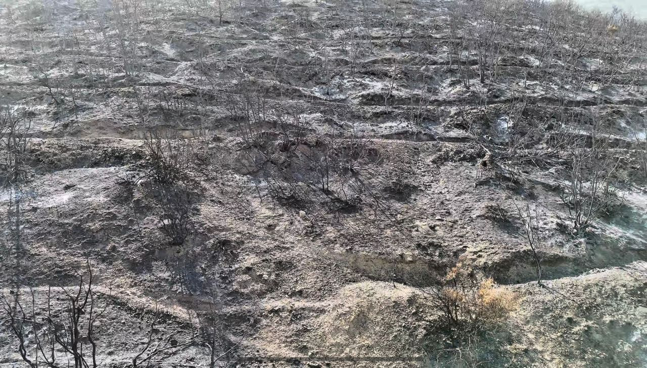 Yangından Sonra Bilecik'in Son Durumu - Sayfa 2
