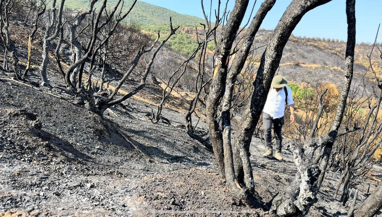 Yangından Sonra Bilecik'in Son Durumu - Sayfa 3