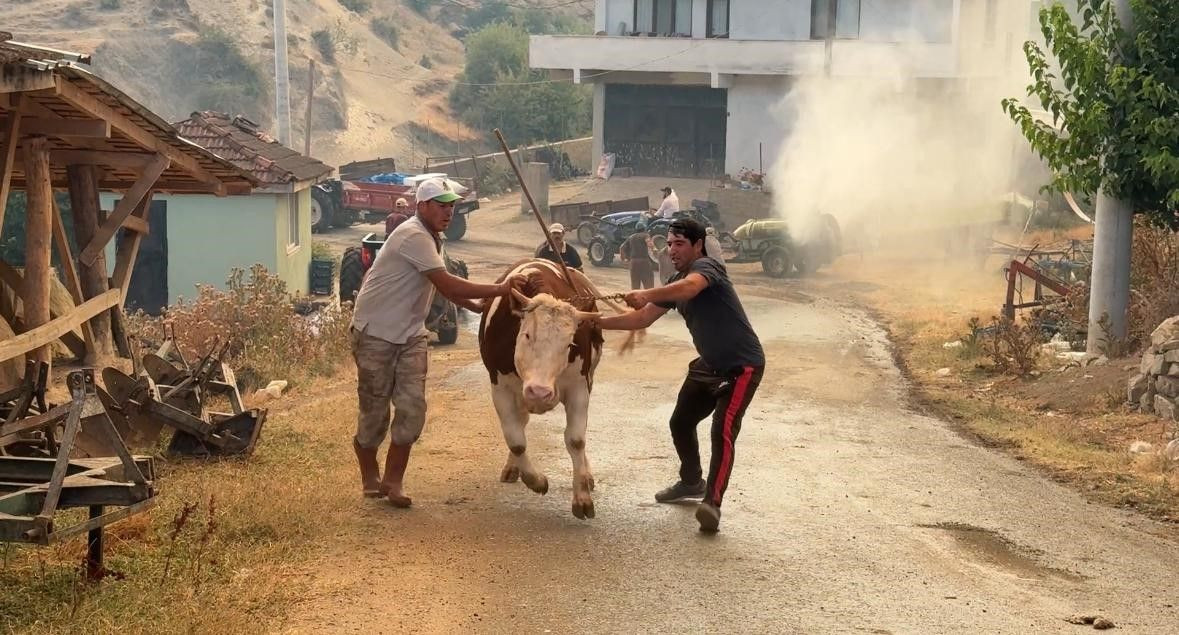 Sakarya’da Orman Yangını: Bir Mahalle Tahliye Edildi - Sayfa 1