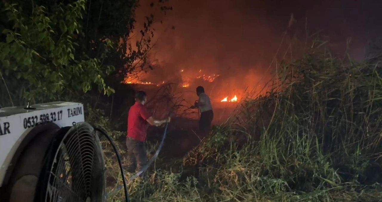 Sakarya’da Orman Yangını: Bir Mahalle Tahliye Edildi - Sayfa 4