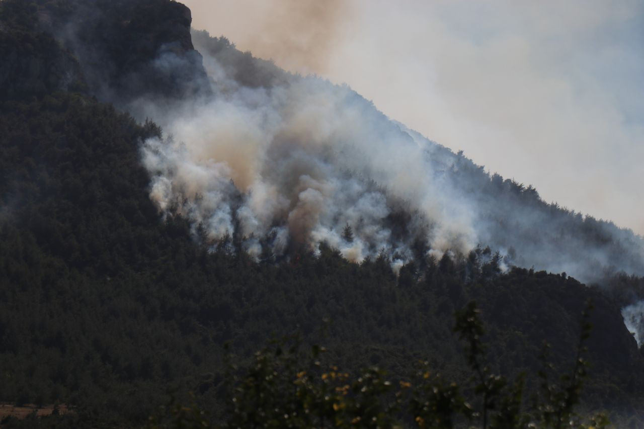 Sakarya'da Başlayan Yangın Sınır Tanımıyor - Sayfa 2