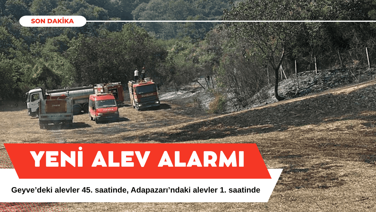 Adapazarı’nda Alev Alarmı: Kömürlük Mahallesi’ndeki Yangına Anında Müdahale