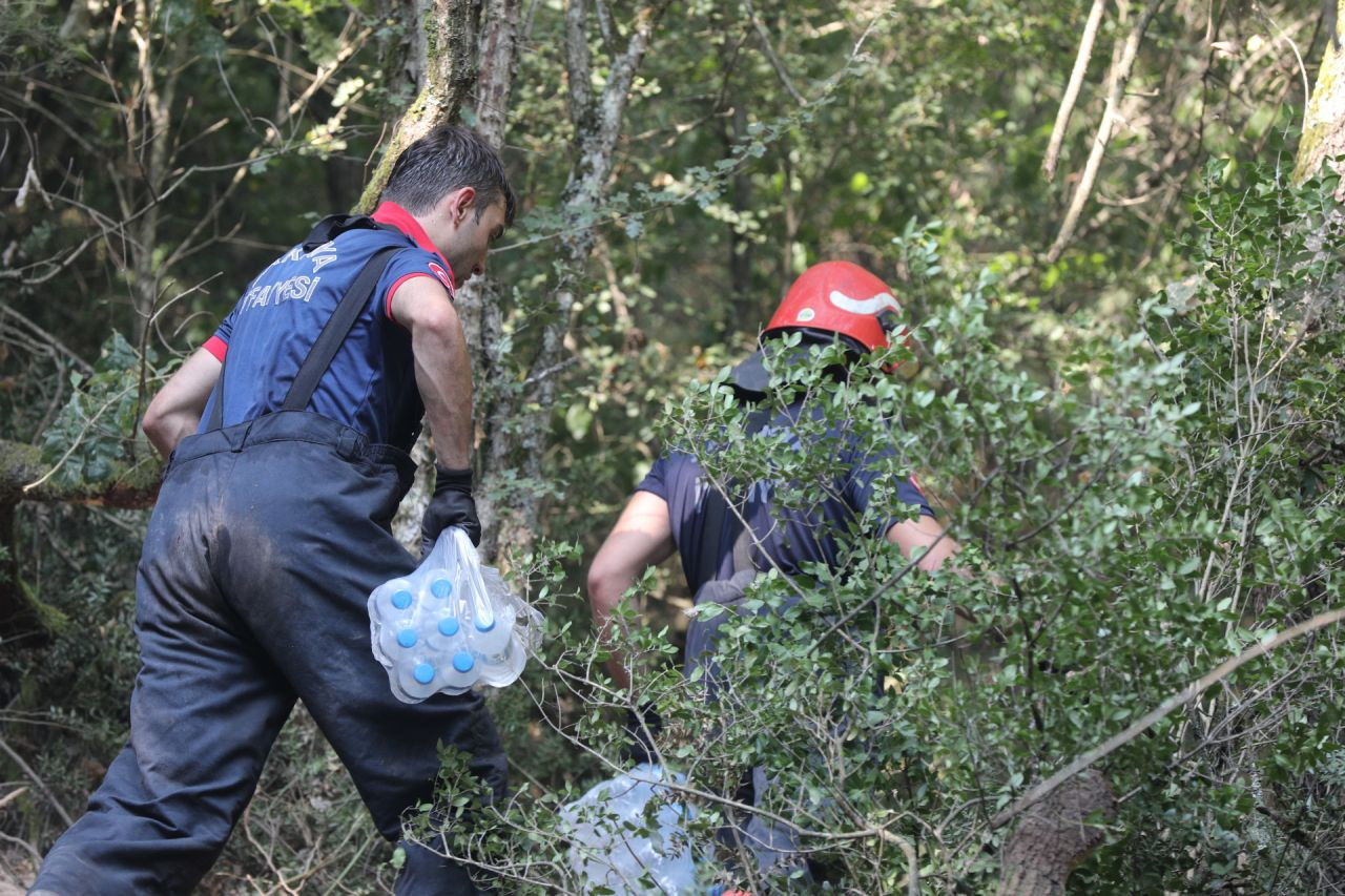 Geyve ve Çevresinde Orman Yangınları: Müdahale Devam Ediyor - Sayfa 2