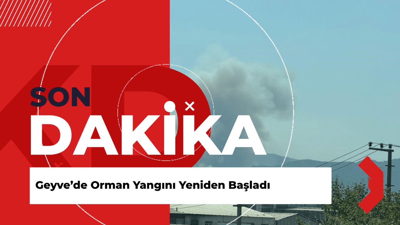 Geyve’de Orman Yangını Yeniden Başladı