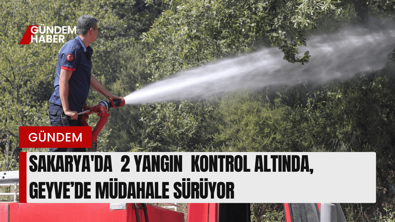 Sakarya'da 3 Yangın: 2’si Kontrol Altında, Geyve’de Müdahale Sürüyor