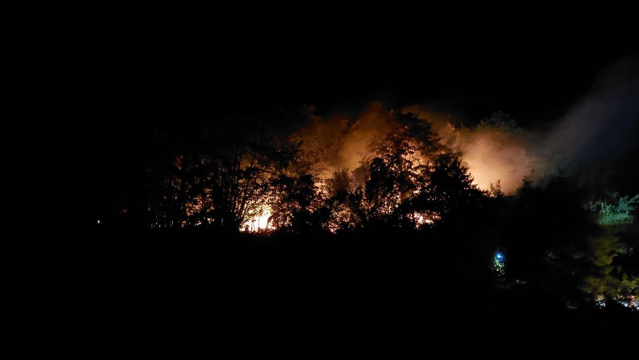 Sakarya’daki Orman Yangınıyla İlgili 1 Kişi Tutuklandı - Sayfa 2