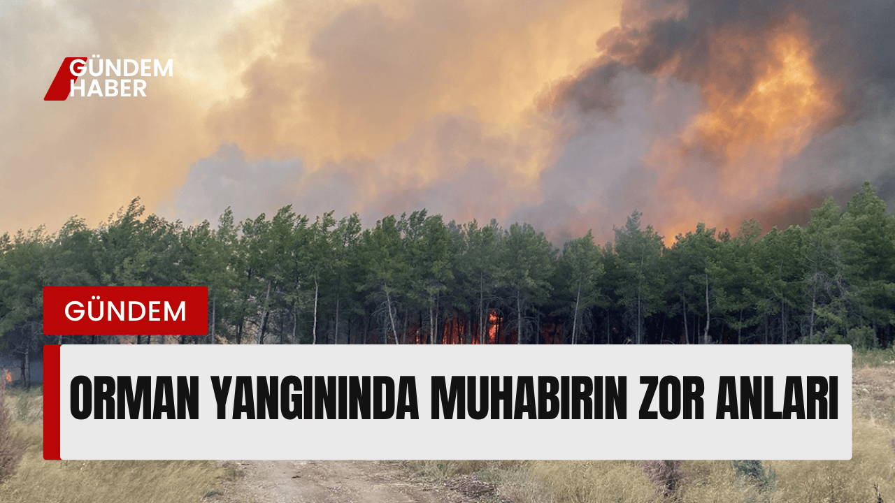 Orman Yangınında Muhabirin Zor Anları
