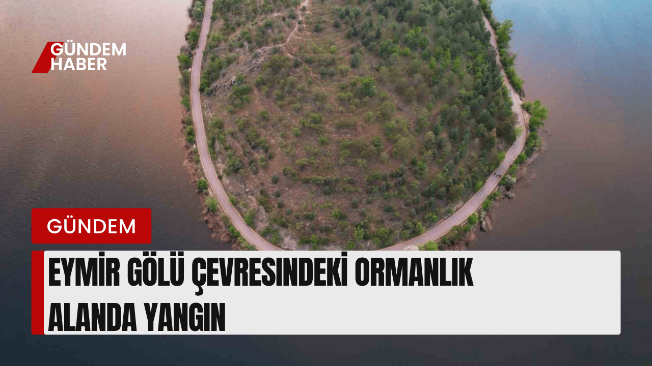 Eymir Gölü Çevresindeki Ormanlık Alanda Yangın