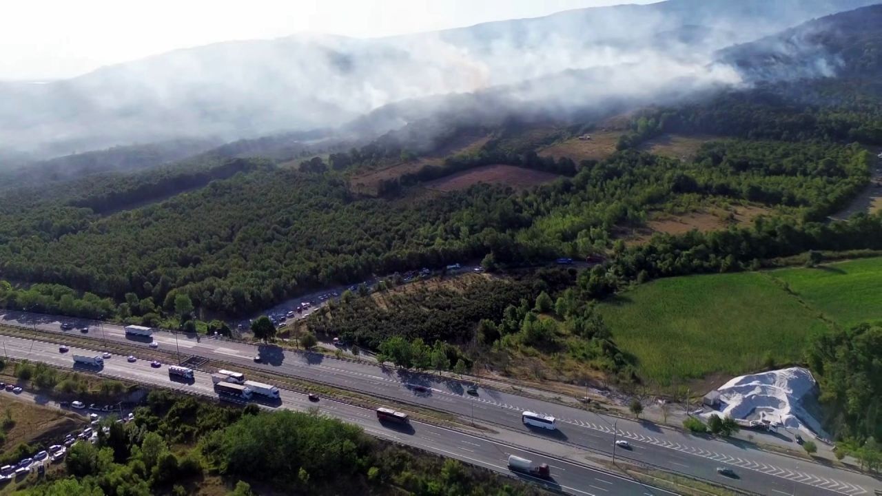 Sakarya-Düzce Sınırında Orman Yangını - Sayfa 3