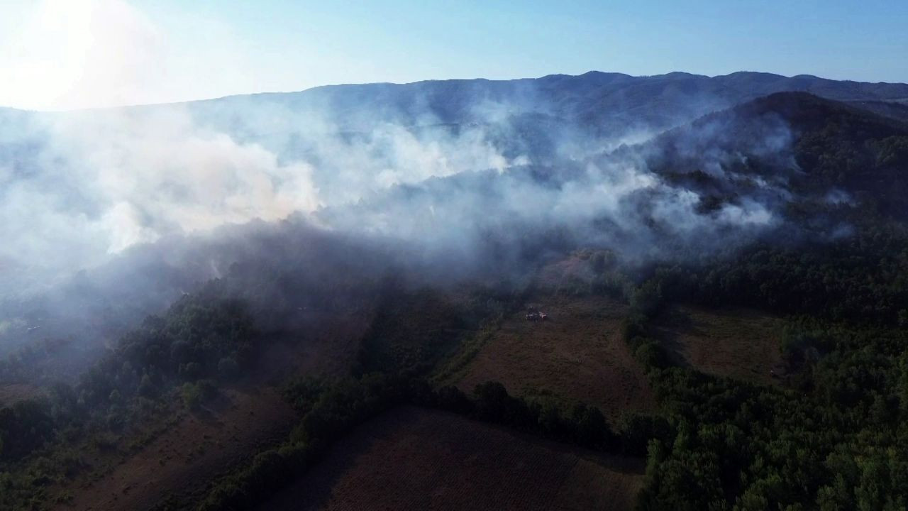 Sakarya-Düzce Sınırında Orman Yangını - Sayfa 4