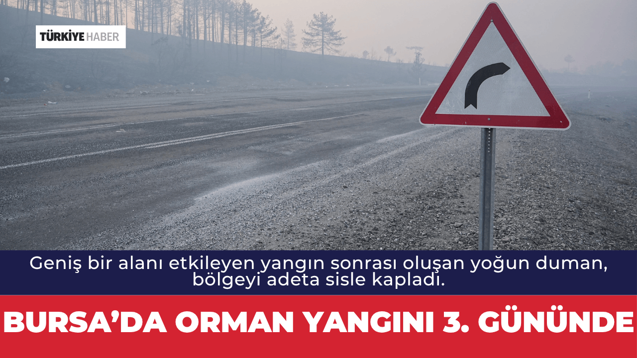 Bursa’da Orman Yangını 3. Gününde