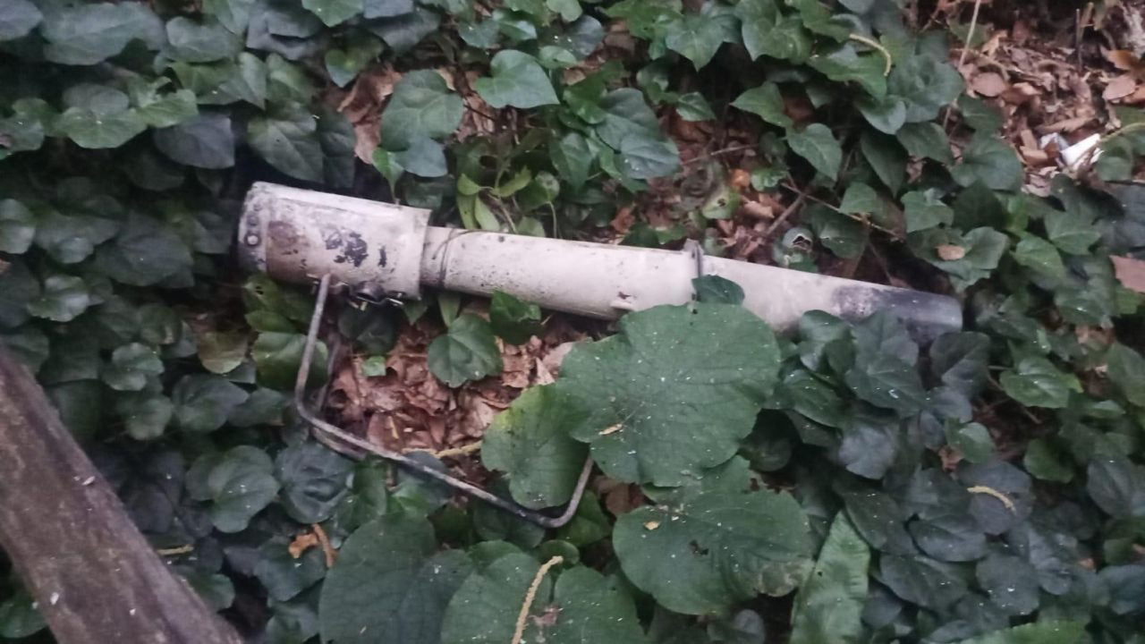 Hendek'te Orman Yangınına 'Hayvan Kaçırıcı' Sebep Oldu - Sayfa 4