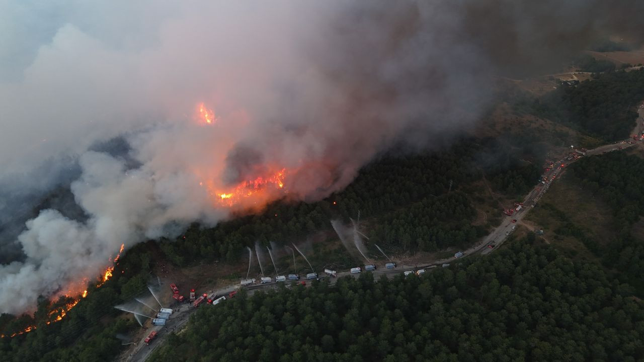 Türkiye Alev Alev: Orman Yangınları 17 Can Aldı, Binlerce Kişi Tahliye Edildi - Sayfa 1