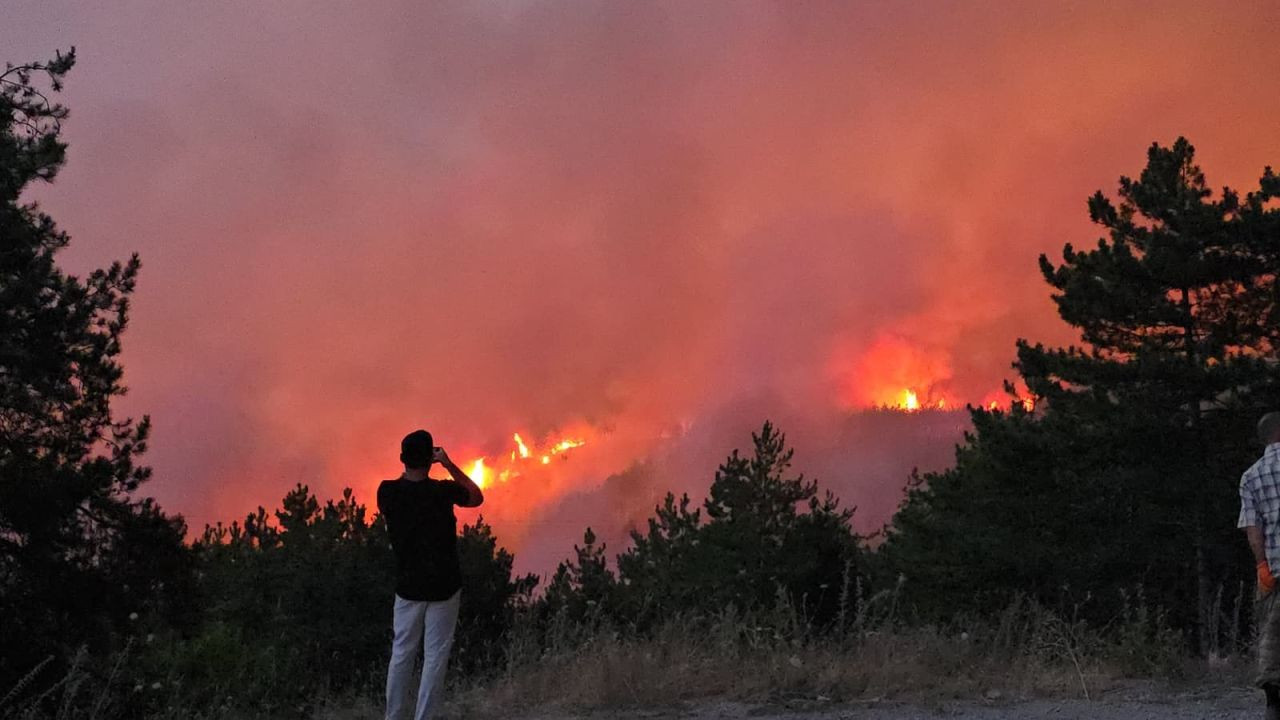 Türkiye Alev Alev: Orman Yangınları 17 Can Aldı, Binlerce Kişi Tahliye Edildi - Sayfa 2