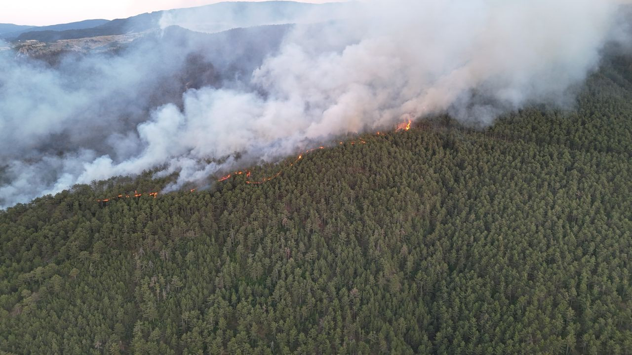 Türkiye Alev Alev: Orman Yangınları 17 Can Aldı, Binlerce Kişi Tahliye Edildi - Sayfa 5