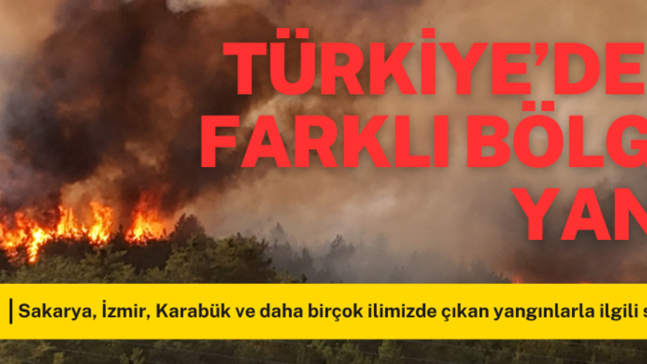 Türkiye Alev Alev: Orman Yangınları 17 Can Aldı, Binlerce Kişi Tahliye Edildi