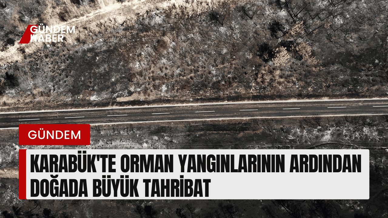 Karabük'te Orman Yangınlarının Ardından Doğada Büyük Tahribat