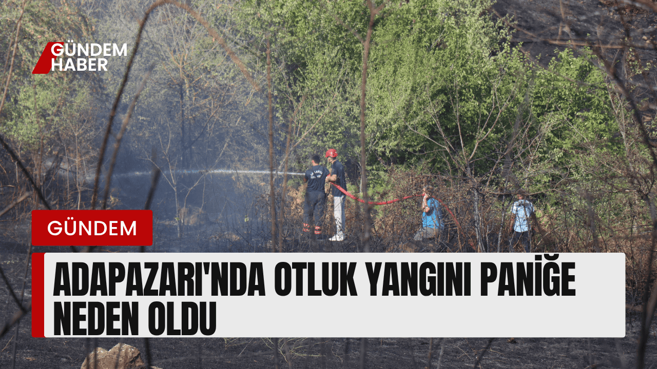 Adapazarı'nda Otluk Yangını Paniğe Neden Oldu