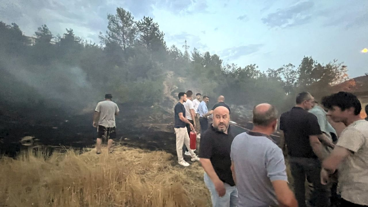 Taraklı’da Direk Patladı, Yangın Ormana Sıçradı - Sayfa 2