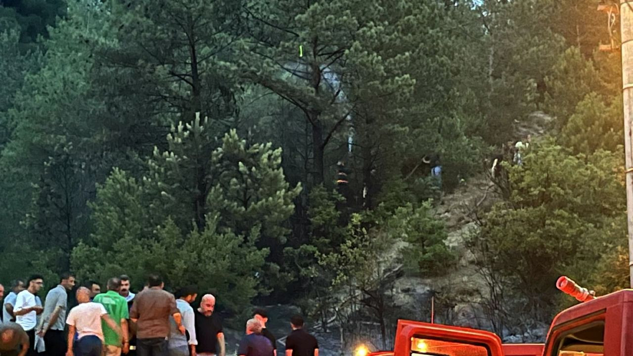 Taraklı’da Direk Patladı, Yangın Ormana Sıçradı - Sayfa 4