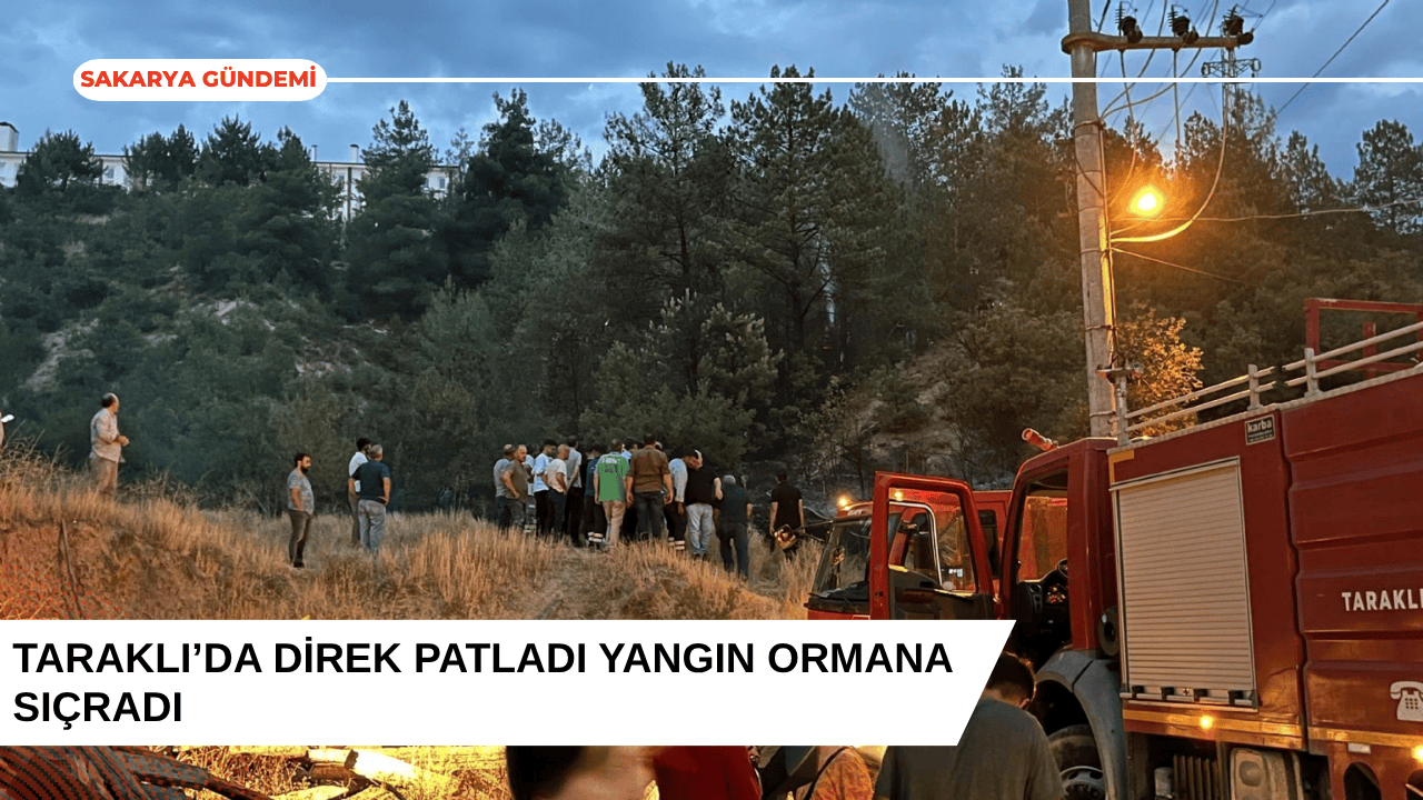 Taraklı’da Direk Patladı, Yangın Ormana Sıçradı