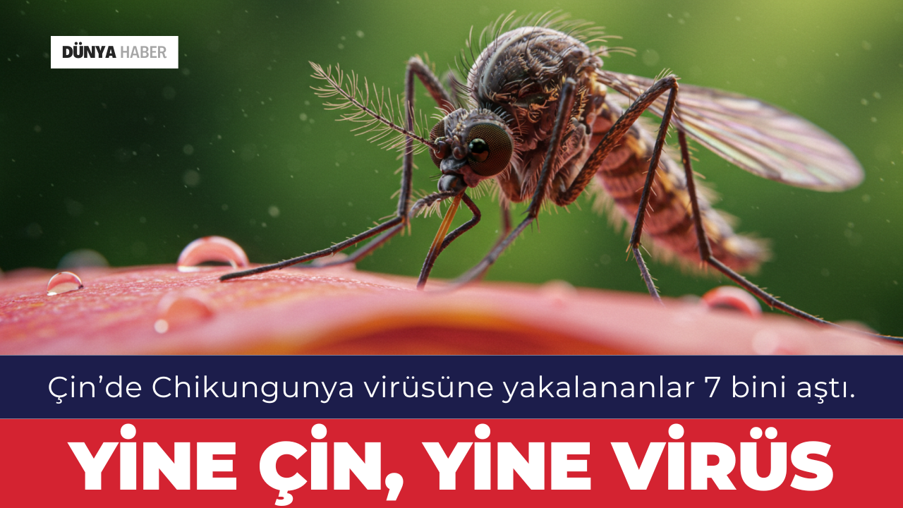 Chikungunya Virüsü Alarmı: Türkiye için Yaz Uyarısı