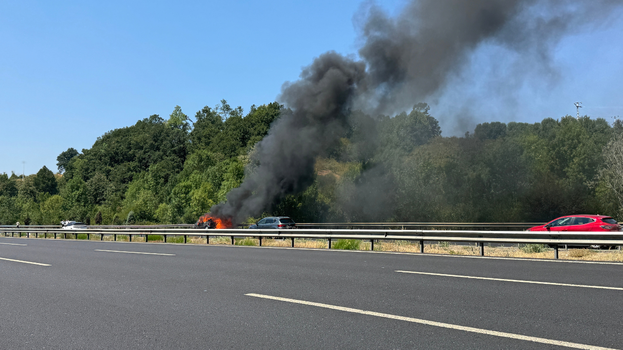 Anadolu Otoyolu’nda Yabancı Plakalı Otomobil Alev Alev Yandı - Sayfa 2