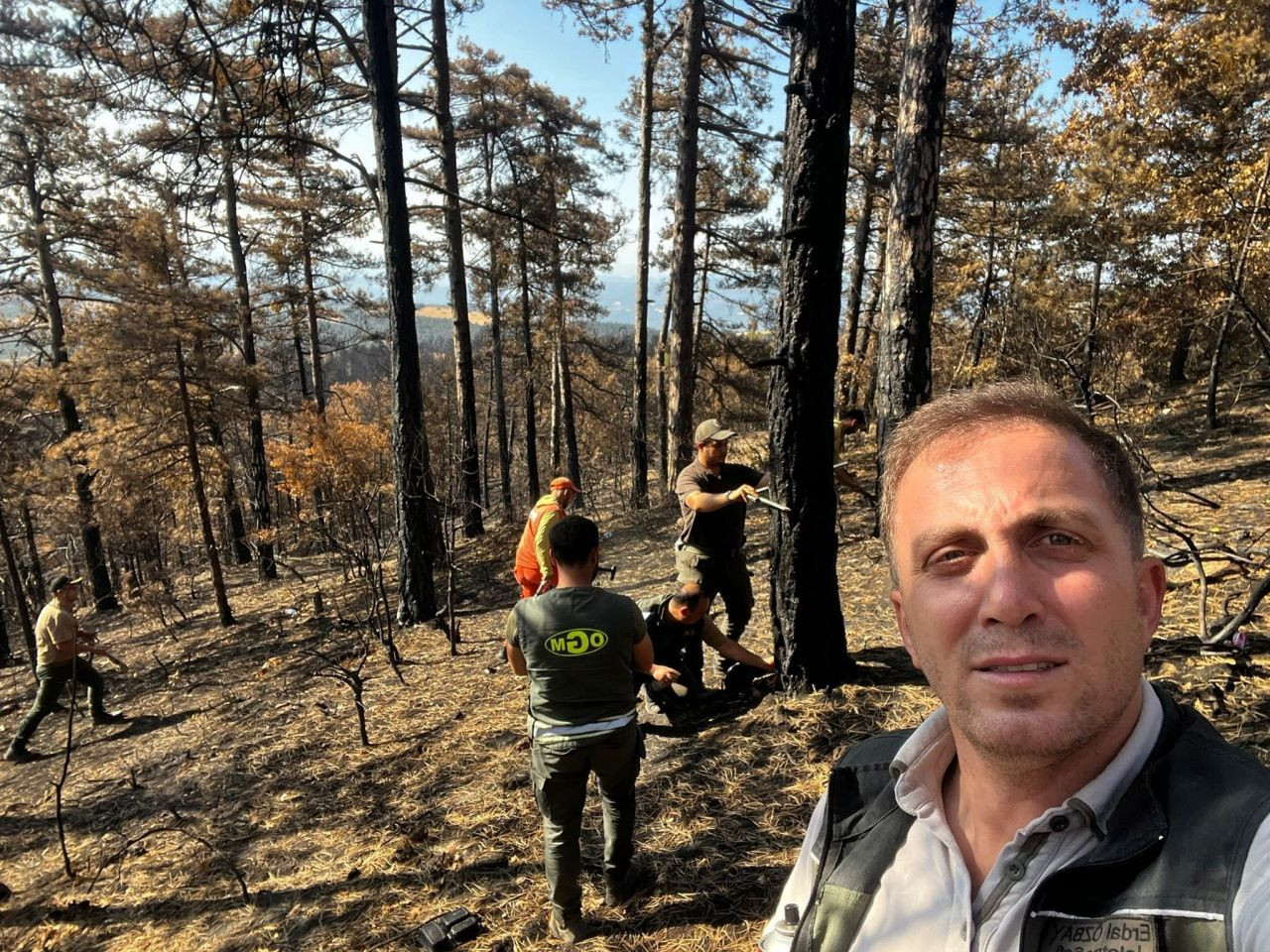 Geyve’de Yanan Ormanlar Yeşeriyor - Sayfa 1