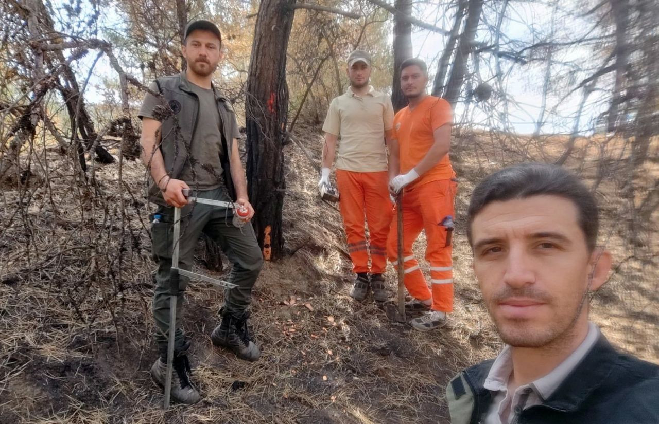 Geyve’de Yanan Ormanlar Yeşeriyor - Sayfa 3