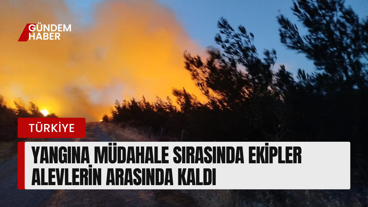 Çanakkale’de Orman Yangını Kontrol Altına Alındı
